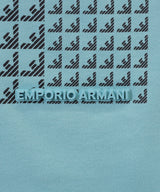 EMPORIO ARMANI デコンストラクテッドイーグルイメージヘビーウェイトカットソー４
