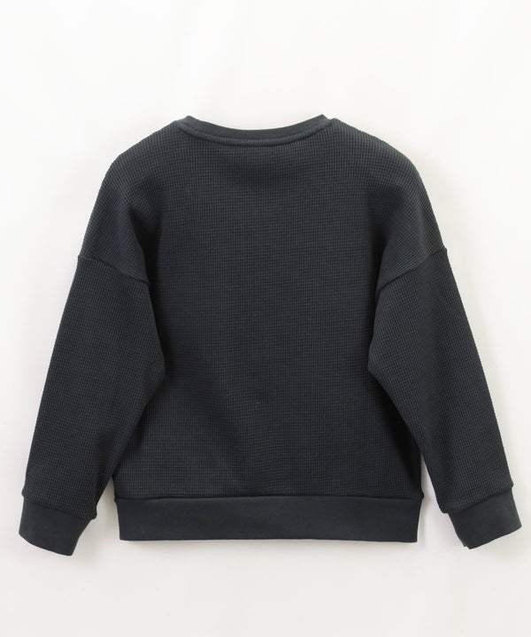EMPORIO ARMANI Waffle Organic Jersey ASV Sweatshirt