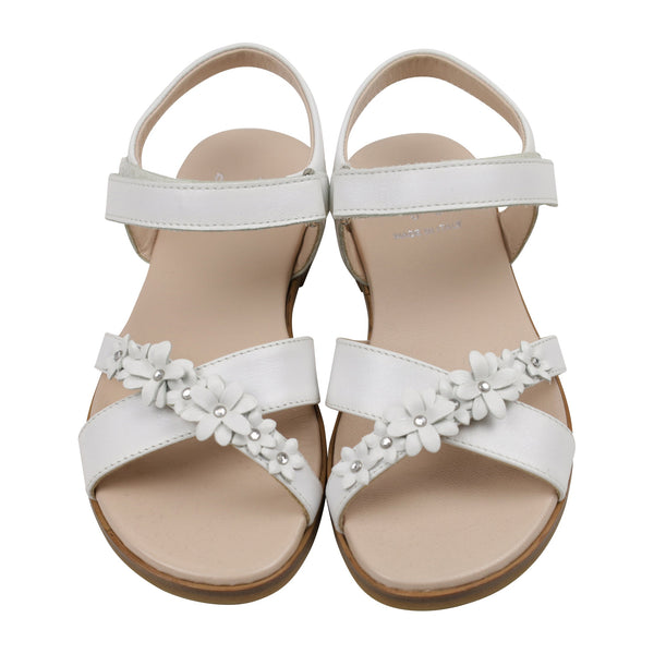 IL GUFO シューズ 91-841506343-01 27inch(18.0cm)